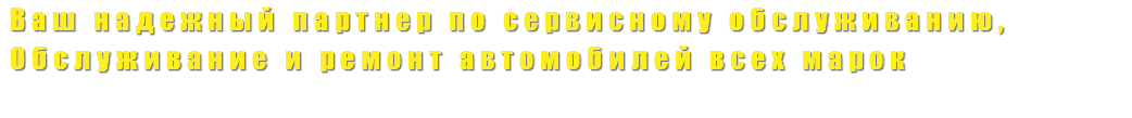 Ваш надежный партнер по сервисному обслуживанию, Обслуживание и ремонт автомобилей всех марок 