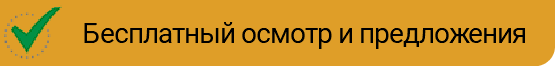 ﷯Бесплатный осмотр и предложения